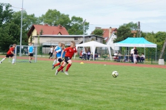 DSC06769-Copy