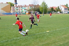 DSC06544-Copy