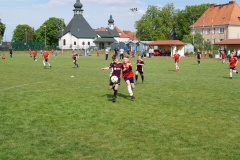 DSC06551-Copy