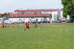 DSC06557-Copy